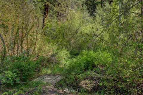 688 Twisp River Rd, Twisp, WA 98856 photo 16