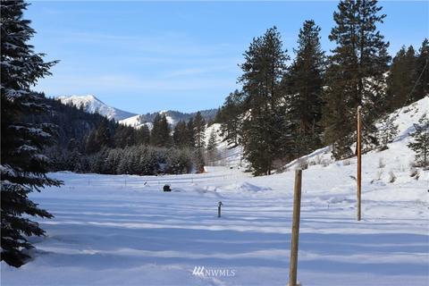 688 Twisp River Rd, Twisp, WA 98856 photo 39