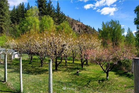 688 Twisp River Rd, Twisp, WA 98856 photo 4