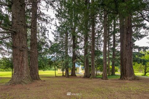 6536 Siper Rd, Everson, WA 98247 photo 29