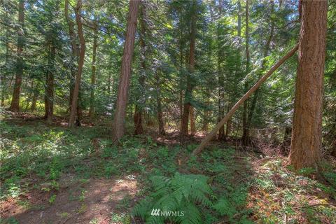 814 Olga Rd, Orcas Island, WA 98245 photo 13