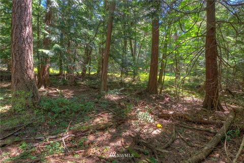 814 Olga Rd, Orcas Island, WA 98245 photo 15