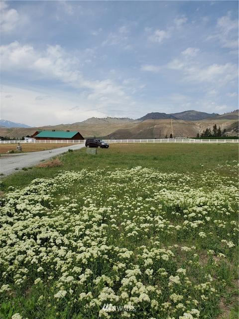 3 Lightning Pine Rd, Methow, WA 98834 photo 13
