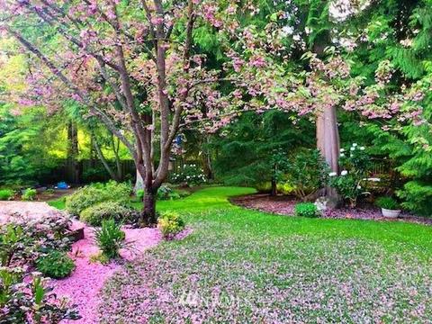 20905 33rd Dr SE, Bothell, WA 98021 photo 38