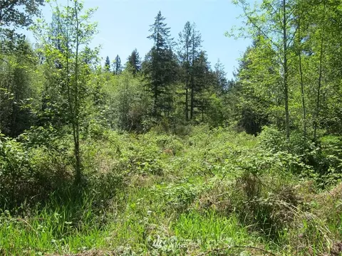 510 E Murray Rd N, Grapeview, WA 98546 photo 7