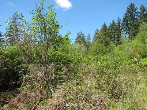 510 E Murray Rd N, Grapeview, WA 98546 photo 13