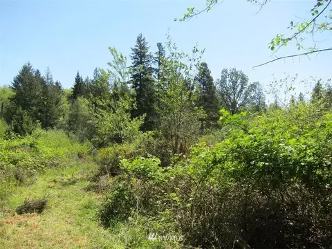 510 E Murray Rd N, Grapeview, WA 98546 photo 14