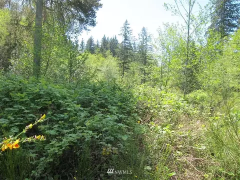 510 E Murray Rd N, Grapeview, WA 98546 photo 8