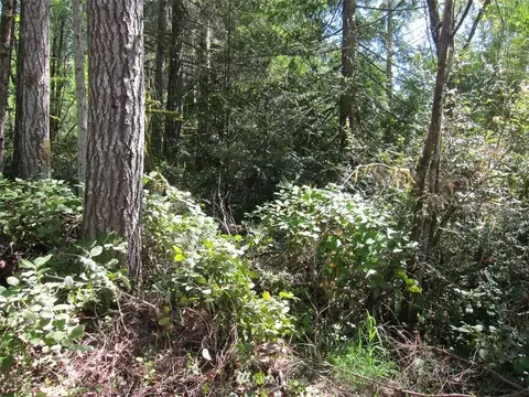 510 E Murray Rd N, Grapeview, WA 98546 photo 6