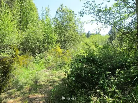 510 E Murray Rd N, Grapeview, WA 98546 photo 4