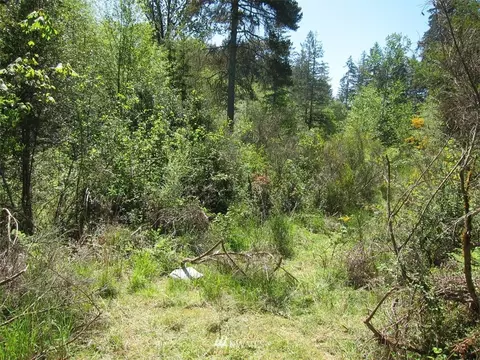 510 E Murray Rd N, Grapeview, WA 98546 photo 10