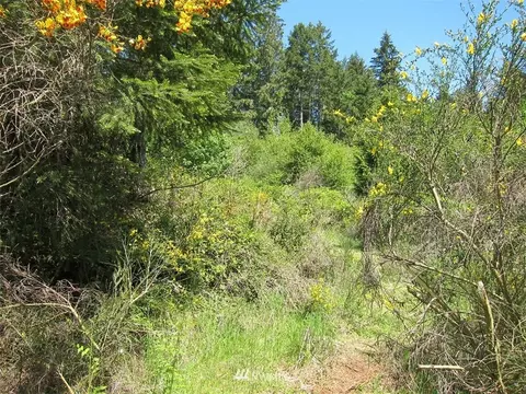 510 E Murray Rd N, Grapeview, WA 98546 photo 9