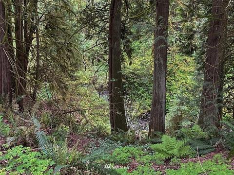 36909 249th Ave SE, Enumclaw, WA 98022 photo 36