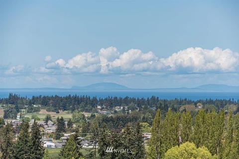 110 Coral Dr, Sequim, WA 98382 photo 6