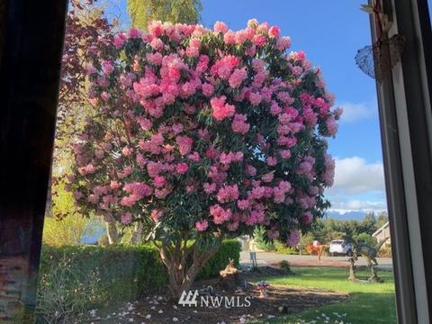 63 Lighthouse View Dr, Sequim, WA 98382 photo 30