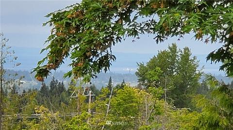 213 Ferndale Dr, Sequim, WA 98382 photo 9