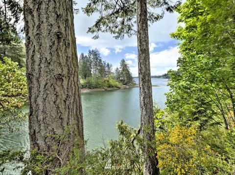 470 E Madrona Pkwy, Grapeview, WA 98546 photo 11