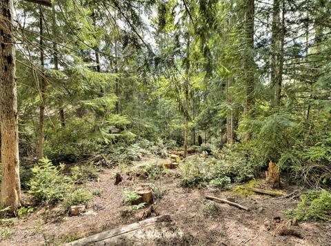 470 E Madrona Pkwy, Grapeview, WA 98546 photo 14