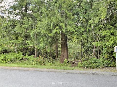 470 E Madrona Pkwy, Grapeview, WA 98546 photo 15
