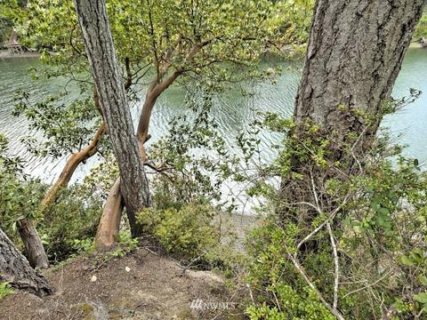 470 E Madrona Pkwy, Grapeview, WA 98546 photo 12