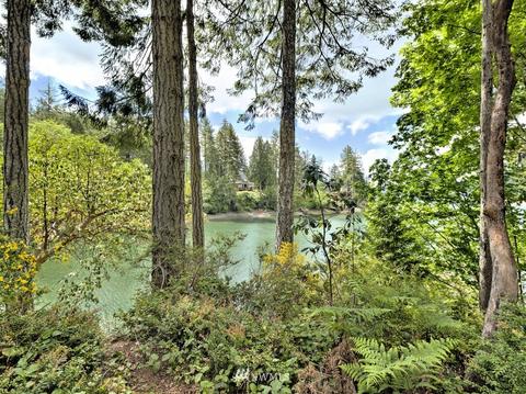 470 E Madrona Pkwy, Grapeview, WA 98546 photo 13