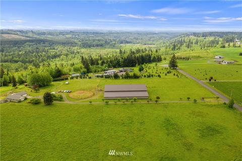 175 Short Rd, Onalaska, WA 98570 photo 23