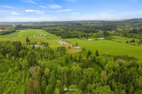 175 Short Rd, Onalaska, WA 98570 photo 18