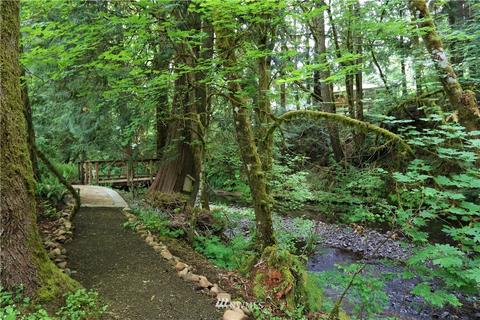 318 Carlon Loop Rd, Longview, WA 98632 photo 30