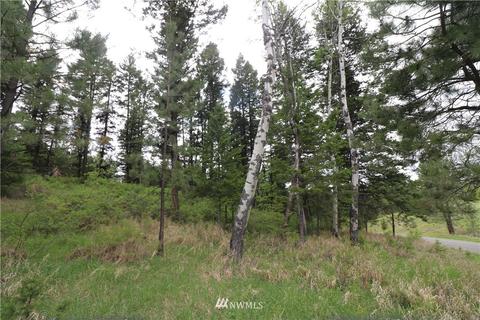 88 Pine Chee Rd, Oroville, WA 98844 photo 3