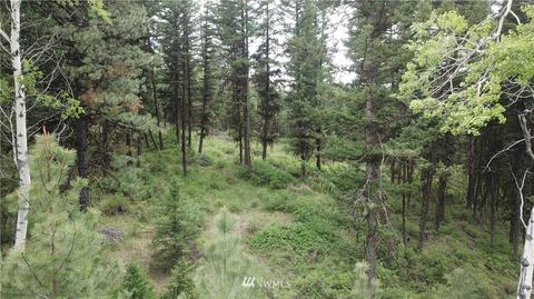 88 Pine Chee Rd, Oroville, WA 98844 photo 16
