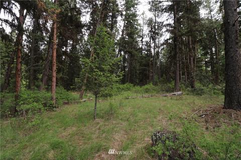 88 Pine Chee Rd, Oroville, WA 98844 photo 8