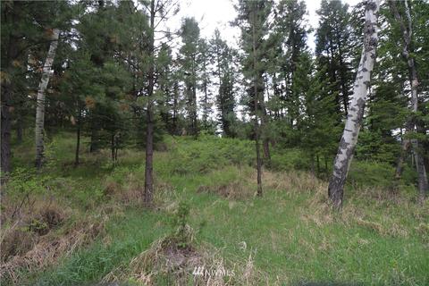 88 Pine Chee Rd, Oroville, WA 98844 photo 4