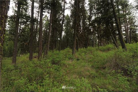 88 Pine Chee Rd, Oroville, WA 98844 photo 5