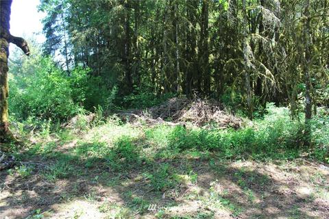259 Avery Rd W, Winlock, WA 98596