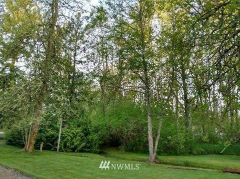 9417 237th Ave E, Buckley, WA 98321 photo 9