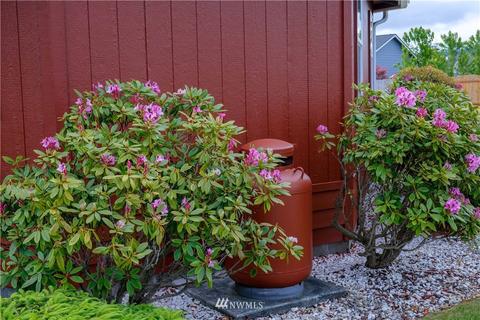 30 Trowbridge, Sequim, WA 98382 photo 28