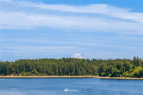 1510 E Island View Rd, Grapeview, WA 98546 photo 31