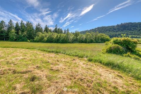 46 Plum Tree Farm Ln, Eastsound, WA 98245 photo 7