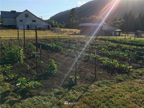 171 Compton Rd, Morton, WA 98356 photo 14