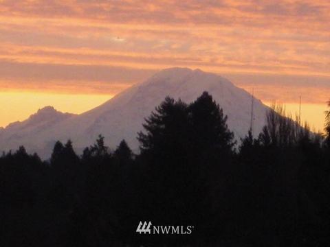 504 N 68th St, Seattle, WA 98103 photo 38