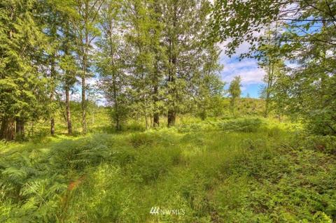 24107 Brooks Rd E, Orting, WA 98360 photo 36