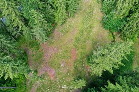 24107 Brooks Rd E, Orting, WA 98360 photo 37