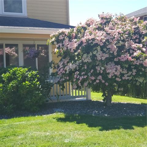 3701 Oak St, Longview, WA 98632 photo 2