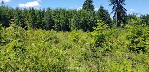 200 Allman Rd, Winlock, WA 98596 photo 1