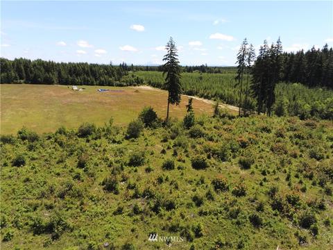 200 Allman Rd, Winlock, WA 98596 photo 6