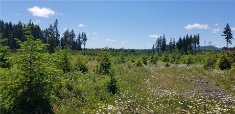 200 Allman Rd, Winlock, WA 98596 photo 3
