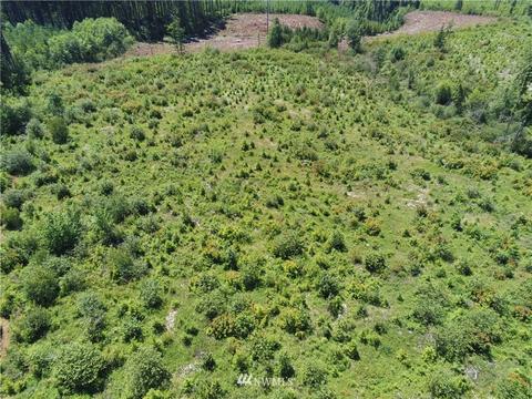 200 Allman Rd, Winlock, WA 98596 photo 4