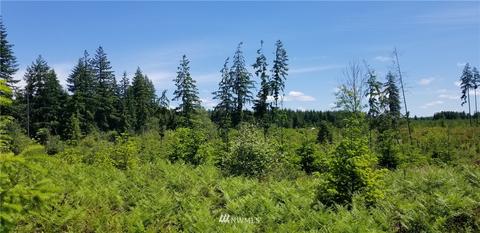 200 Allman Rd, Winlock, WA 98596 photo 5