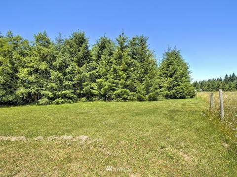 111 Josephine Loop, Onalaska, WA 98570 photo 39