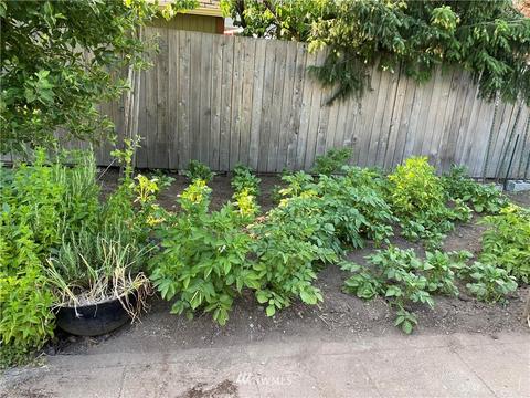 1457 Pioneer St, Enumclaw, WA 98022 photo 3